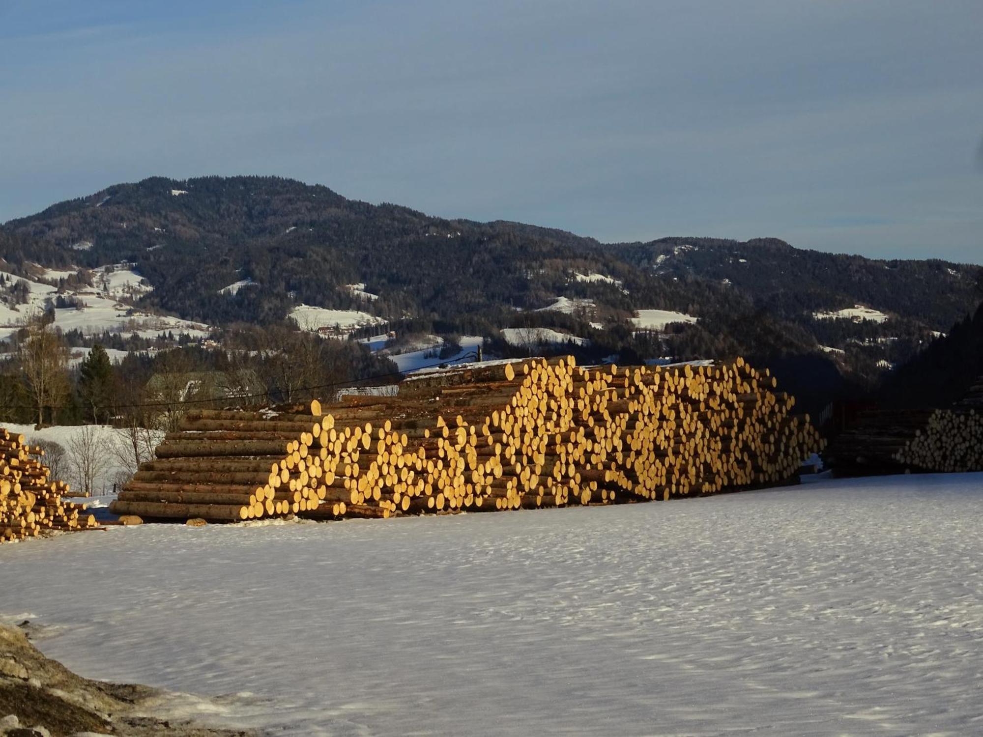 Ferienhaus-Roemerthurm Schöder Exteriér fotografie